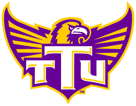 Tennessee Tech Golden Eagles 2006-Pres Alternate Logo diy iron on heat transfer